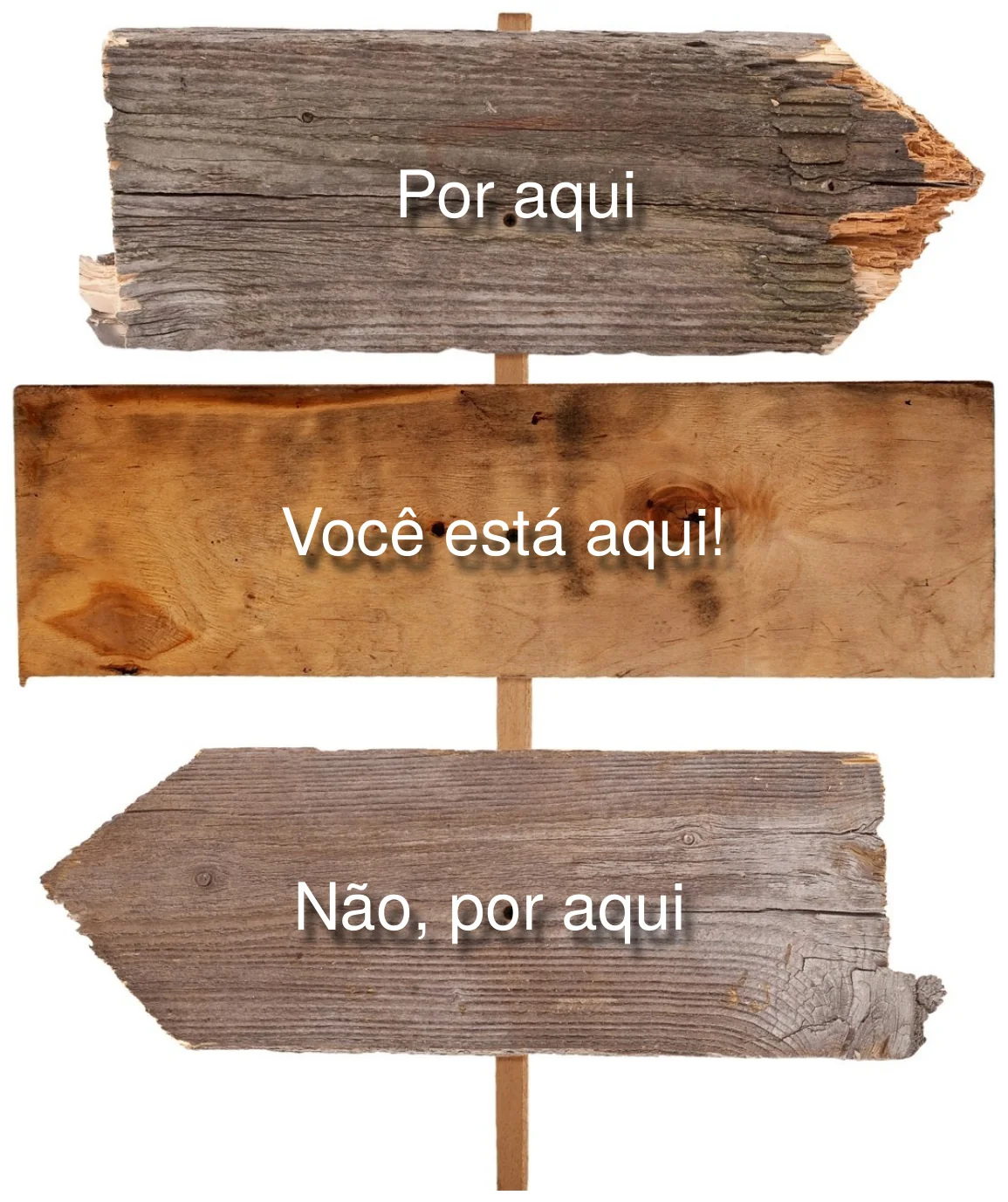 Ilustração do capítulo 13: Buscando Direção