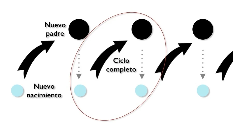 Ilustración sobre El niño — etapa 1 — El Núcleo de la Vida