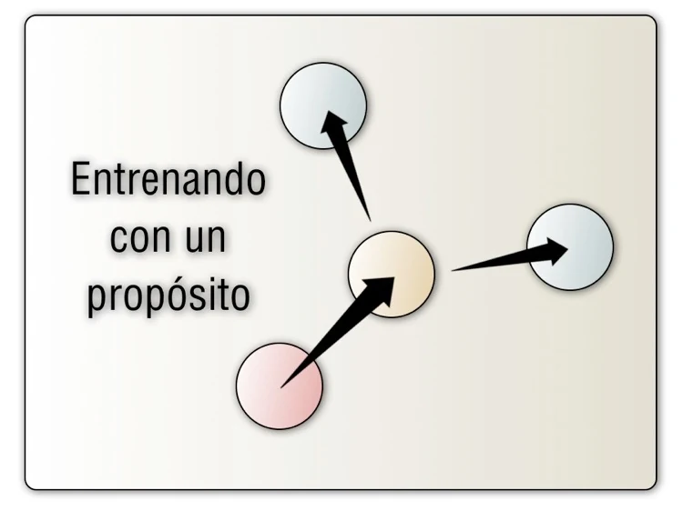 Ilustración sobre Una perspectiva más amplia — El Núcleo de la Vida